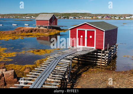 Red angeln Stadien, Joe Batt's Arm, Fogo Island, Neufundland, Kanada Stockfoto