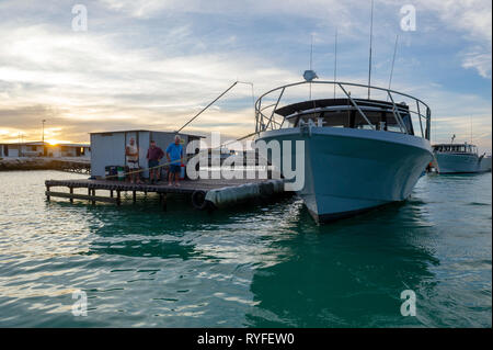 Große Ratte Insel Houtman Abrolhos. Die Houtman Abrolhos Inseln liegen 60 Kilometer vor der Küste von Geraldton in Western Australia. Es gibt 122 pristi Stockfoto