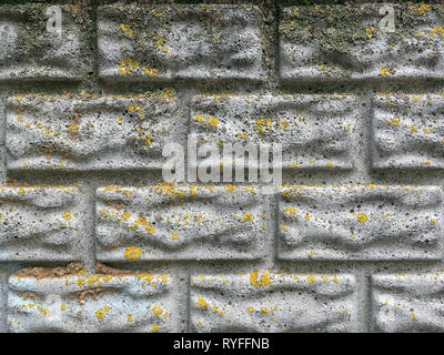 Alte Grauzement zaun Wand Hintergrund mit Moos. geometrische Struktur von Backstein Form Stockfoto