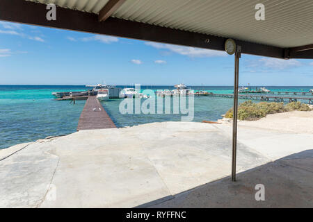 Große Ratte Insel Houtman Abrolhos. Die Houtman Abrolhos Inseln liegen 60 Kilometer vor der Küste von Geraldton in Western Australia. Es gibt 122 pristi Stockfoto