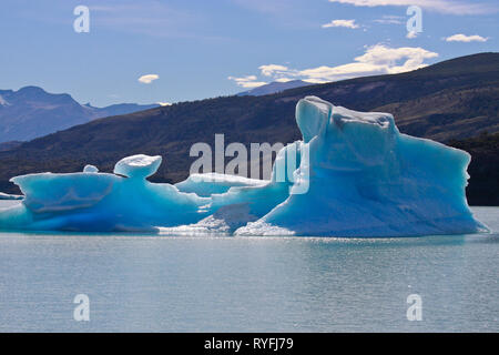 Große Blaue helle Eisberge schwimmen auf dem Wasser des Lago Argentino See, El Calafate, Argentinien im Sonnenschein Tag. Stockfoto