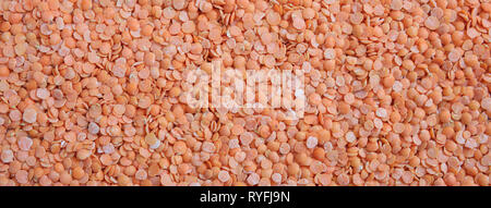 Rote Linsen. Rot orange Farbe split Linsen ungekocht voller Hintergründe, Banner, Ansicht von oben geschält Stockfoto