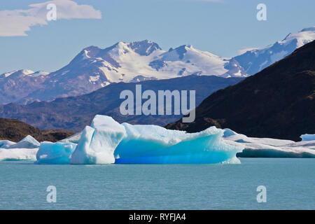 Große Blaue helle Eisberge schwimmen auf dem Wasser des Lago Argentino See, El Calafate, Argentinien im Sonnenschein Tag. Stockfoto