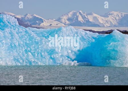 Große Blaue helle Eisberge schwimmen auf dem Wasser des Lago Argentino See, El Calafate, Argentinien im Sonnenschein Tag. Stockfoto