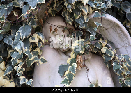 Statue/Monument einer Efeubewachsenen Engel ein Grabstein in der Cimitero monumentale di Milano - monumentale Friedhof - Mailand Italien Stockfoto