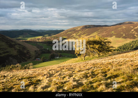 Dramatische Abendlicht leuchtenden Culter Wasser südlich von Biggar in den Scottish Borders, die fernen Pentland Hills in der Nähe von Edinburgh gesehen werden kann. Stockfoto