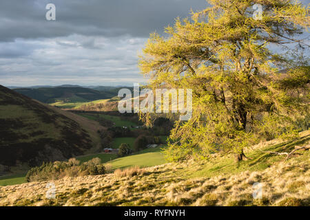 Dramatische Abendlicht leuchtenden Culter Wasser südlich von Biggar in den Scottish Borders, die fernen Pentland Hills in der Nähe von Edinburgh gesehen werden kann. Stockfoto