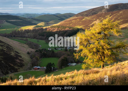 Dramatische Abendlicht leuchtenden Culter Wasser südlich von Biggar in den Scottish Borders, die fernen Pentland Hills in der Nähe von Edinburgh gesehen werden kann. Stockfoto