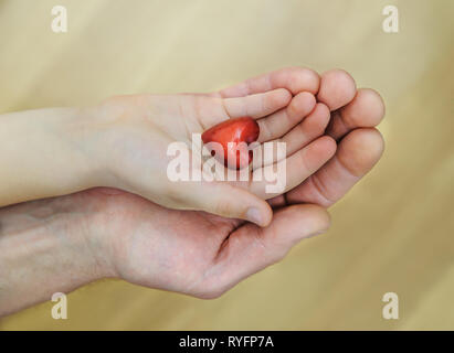 Der kleine rote Herz ist in der Hand des Kindes auf die Hand gelegt. Stockfoto