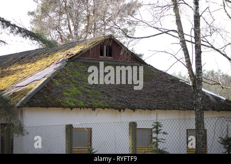 Moos - bedeckte Dach. alten, verlassenen Haus im Wald. Das Gebäude ist eingezäunt. Fenster und weiße Wände Stockfoto