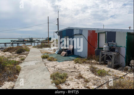 Pigeon Island in der Wallabi Group. Die Houtman Abrolhos Inseln liegen 60 Kilometer vor der Küste von Geraldton in Western Australia. Es gibt 122 pri Stockfoto