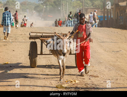 Jinka, Äthiopien - Dezember 07, 2013: Äthiopische Mann auf der Straße mit einer Karre, die der Esel schleppt. Stockfoto