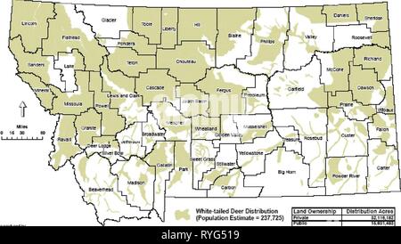 Chronic Wasting Disease Management Plan für sich Reichen widllife in Montana E6 F115 F 5-9404-4471-AE 29-932 C1 A4 C 1318 Jahr: 2005 Abbildung 3. 2004 Montana Weißwedelhirsche Verteilung und Bevölkerung Schätzung Hu-tdifthnli 7 ALlN1 Ich bin-1.1 lifeiiiBUcii MiiiÂ": &gt;Ith-I U-l hhbni. Ul-White-tailed Tau Verteilung (Bevölkerung E&Timate = 237.725 J4 ote: rcEa DtTtutcn Tappno'^] lEtEâ.^i'ti^l'â Land: â ¢ v Lem * p DlBlrlbul: i-ztt^i=rs::: 12 - 1: "El Versuch K. B7C Insgesamt irsi: s;=! K^jjMTn^ wju â ir^irai'; Ptin WiJdlCiifc -&gt; lebensfähige Hirsche Bevölkerung gibt es in einigen Orten und nicht in anderen, nach Stockfoto