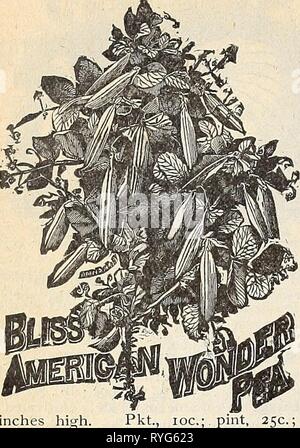 E.H. Hunt: seedsman ehhuntseedsman 1894 Jagd Jahr: 1894 38K H. HUNT, SEEDSMAN, Chicago, Illinois. Zoll hoch, Scheffel, $ 5,00, * Amerikanische Wunder. Diese Vielfalt führt alle dwai fs in der frühzeitigkeit, Produktivität, Geschmack und Qualität: Die frühesten großen grünen zerknittert Erbse in Anbau; Erbsen im Juni gepflanzt haben, Matte, gemessen in 33 davs. Es ist der Zwerg und robuste Gewohnheit, von 10 bis 15 cm hoch, und produziert eine Fülle von guter Größe und gut gefüllten Hülsen der feinsten gewürzte Erbsen. Pkt., loc, Pint, 25c.; qt., 40 C.; Peck, $ 1,50. * McLean's Little Cem. Ein Zwerg, grün und sehr Stockfoto