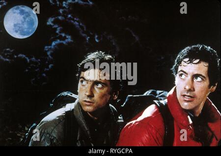 GRIFFIN DUNNE, David Naughton, AMERICAN WEREWOLF IN LONDON, 1981 Stockfoto