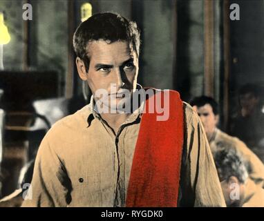 PAUL NEWMAN, Cool Hand Luke, 1967 Stockfoto