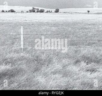 80 Jahre der Vegetation und Landschaft Veränderungen in den nördlichen Great Plains: Eine fotografische eightyyearsofveg 45 klem Jahr: 2001 Stockfoto