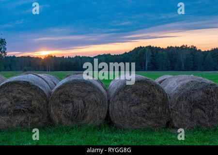 Sonnenuntergang über die Felder von Bialowieza Nationalpark im östlichen Polen an der Grenze zu Weißrussland Stockfoto