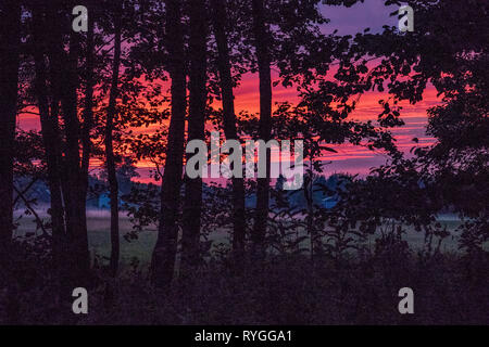 Sonnenuntergang über die Felder von Bialowieza Nationalpark im östlichen Polen an der Grenze zu Weißrussland Stockfoto