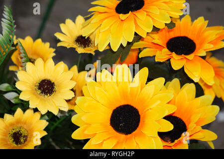 Blick von oben auf die künstliche Sonnenblumen Bündel auf weißem Hintergrund Stockfoto