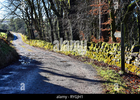 Wegweiser zu Straße entlang bemoosten Trockenmauer, Hardcastle Crags, Hebden Bridge, Calderdale, West Yorkshire Stockfoto