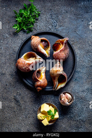 Rohstoffe riesige ESCARGOT vom Pazifischen Ozean. Chilenische großen Schnecken, Butter, Knoblauch und Petersilie. Stockfoto