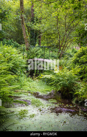 Wunderschönen grünen Garten auf Inish Beg Stockfoto