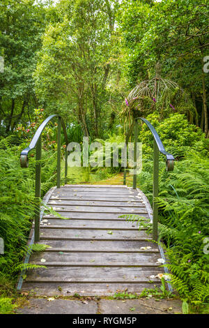 Wunderschönen grünen Garten auf Inish Beg Stockfoto