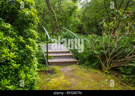 Wunderschönen grünen Garten auf Inish Beg Stockfoto