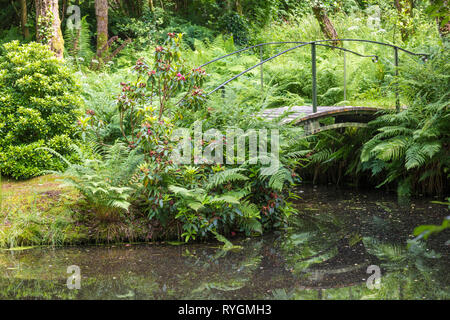 Wunderschönen grünen Garten auf Inish Beg Stockfoto