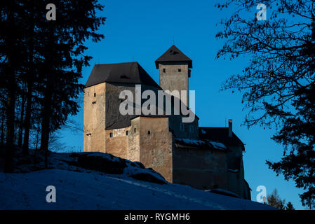 Winter Blick auf die mächtige Festung der Burg Rapottenstein, Österreich, Niederösterreich, Waldviertel, Rapottenstein Stockfoto