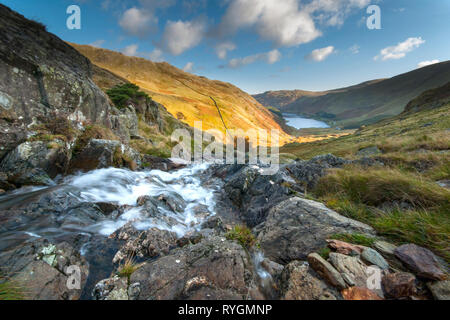 Kleine Wasser beck Stolpern über Felsen und robuste vorne und unten fließt in Haweswater Reservoir in den Lake District cumbris Stockfoto