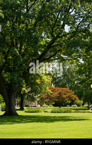 Rasen und Bäume um Teich Stockfoto