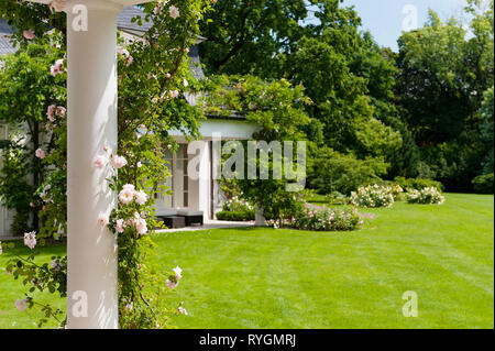 Blumen auf Spalte in Garten Stockfoto