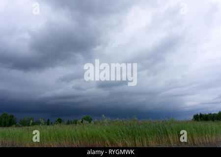 Letzte Sonnenstrahl vor dem Hurrikan. Abstrakte natürlichen Hintergründe Stockfoto