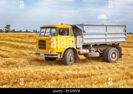 Lkw, Lkw auf Feld Stockfoto