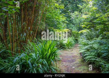 Wunderschönen grünen Garten auf Inish Beg Stockfoto