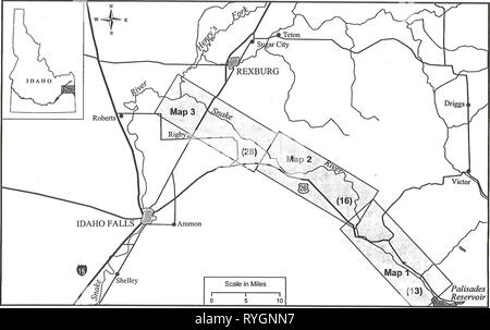 Auswirkungen der Freizeitgestaltung und Vieh weiden auf Lebensraum von Brutvögeln in Cottonwood Wälder entlang der South Fork Snake River effectsofrecreat 48 saab Jahr: 1998 Abbildung 1. Lage der Cottonwood riparian Studie. Die Zahlen in Klammern sind die Anzahl der cottonwood Patches in jedem Abschnitt, dass von 1991 entnommen wurden, - 1994. Stockfoto