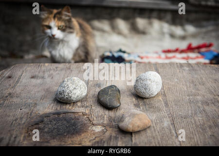 Steine für Weissagung auf einem Holztisch mit einer Katze im Hintergrund, eine Szene im Dorf Besuch einer Hexe Stockfoto