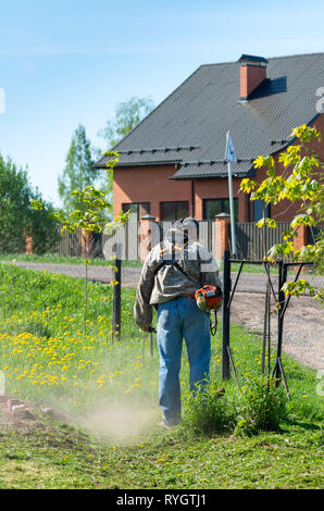 Der Mann mit der Hand Rasenmäher mäht das Gras. Der Mensch ist das mähen das Gras Stockfoto