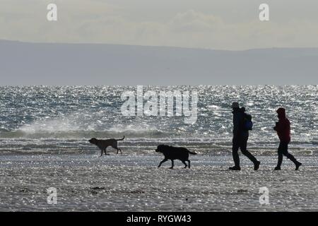 Wanderer und zwei Hunde Silhouette gegen das Meer, und einen Strand bei Ebbe an einem windigen Tag Kreuz, Three Cliffs Bay, die Gower, Wales, Großbritannien Stockfoto