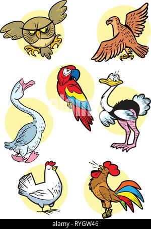 Vector Illustration zeigt Arten der Farm und den wilden Vögeln, auf weißem Hintergrund Stock Vektor