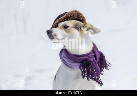 Schöne Outdoor Portrait von weißen Mischlingen tragen Tröster und wry Fell-Cap. Stockfoto