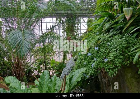 OKLAHOMA CITY, OK - 2 Mar 2019 - Ansicht der Myriad Botanical Gardens, einem interaktiven städtischen Park in einem Tubular Glass Gewächshaus in der Innenstadt von Oklah entfernt Stockfoto