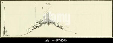 Ökologische Studie der Amoco Cadiz Ölpest: Bericht des NOAA-CNEXO Gemeinsame wissenschaftliche Kommission ecologicalstudyo 00 noaa Jahr: 1982 Stockfoto