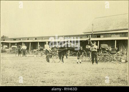 Die treibende Vereine der Großraum Boston drivingclubsofgr 01 linn Jahr: 1914&gt;^,,^^ - ///' - * t, LYNN PFERD GEWINNEN NACH EINEM HITZE Stockfoto