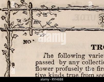 E. Fred Washburn's Amateur kultivator Leitfaden für die Blumen- und Gemüsegarten für 1880 efredwashburnsam 1880 waschen Jahr: 1880 Stockfoto