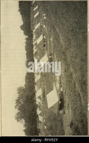 Ei Geld, wie es zu erhöhen; ein Buch von vollständigen und zuverlässigen Informationen über den mehr rentable Produktion von Eiern auf die Stadt, das Dorf acre und die Farm eggmoneyhowtoinc 00 nour Jahr: 1908 Stockfoto