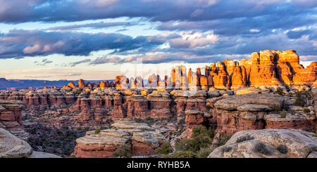 Moody Wolken über bunte golden leuchten Nadeln im Elefanten Canyon im Needles District des Canyonlands National Park. Stockfoto