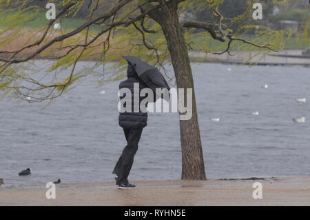 London, Großbritannien. 14 Mär, 2019. Wind und Regen im Hyde Park Credit: JOHNNY ARMSTEAD/Alamy leben Nachrichten Stockfoto